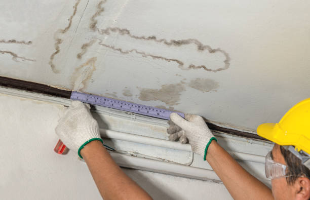 Reliable Burst Pipe Cleanup contractor in Beaverdam, OH by Water Damage Irwin